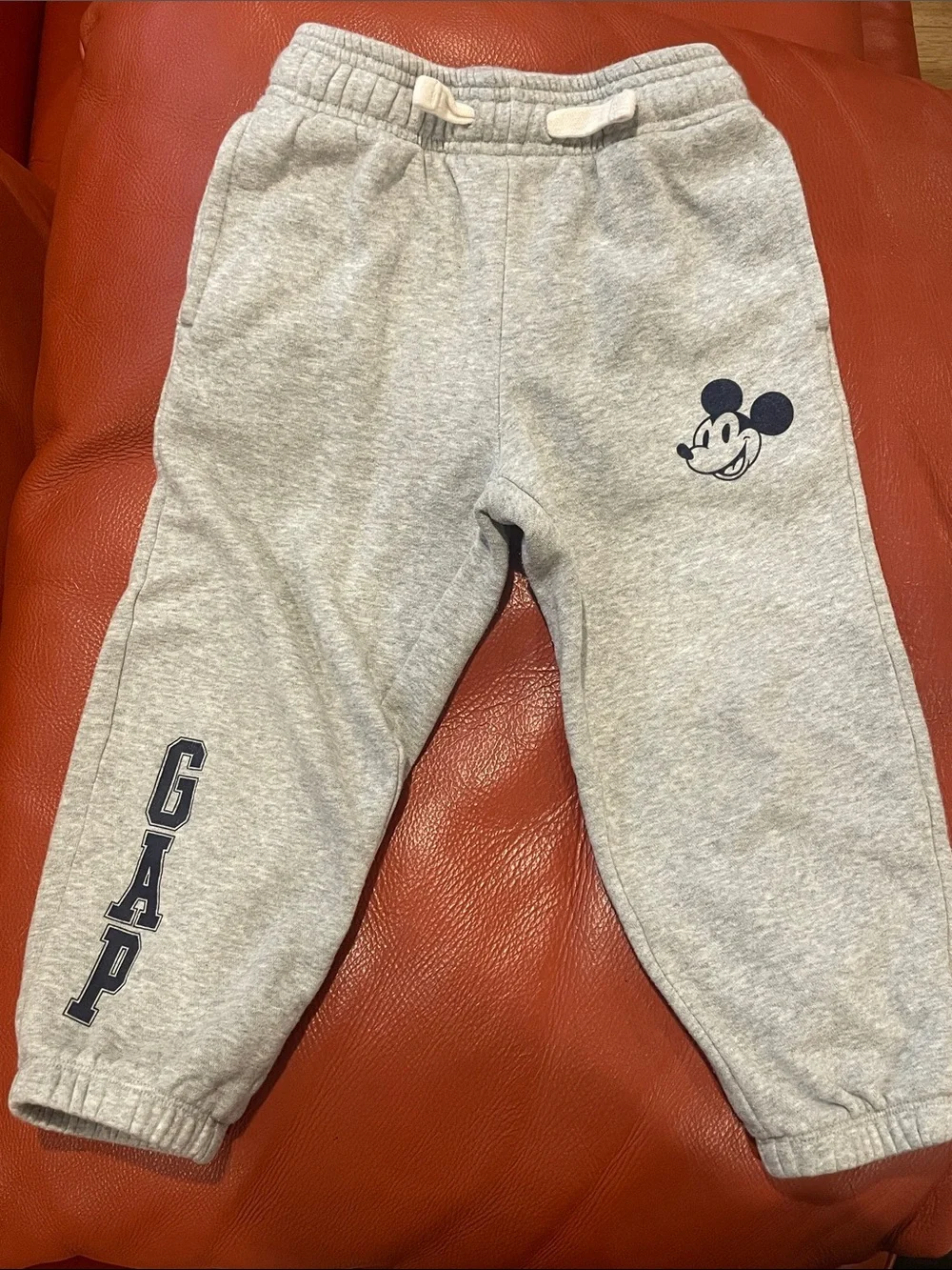 GAP Teal Mickey Mouse Sweatshirt and Gray Joggers Set
